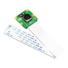 Raspberry Pi Camera Module (Pi Camera)